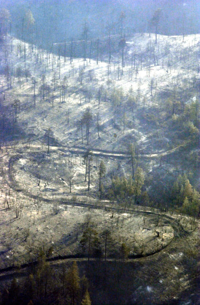 The Rodeo-Chediski Fire in 2002